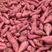 龙九红薯西瓜红支持一件代发市场货各种规格