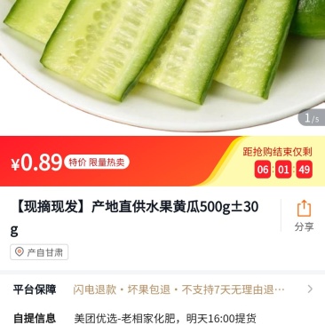 甘肃小黄瓜小乳瓜