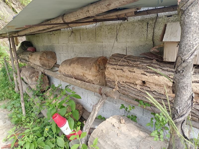 陕西凤县秦岭土蜂蜜结晶蜜农家自产自销年产一次
