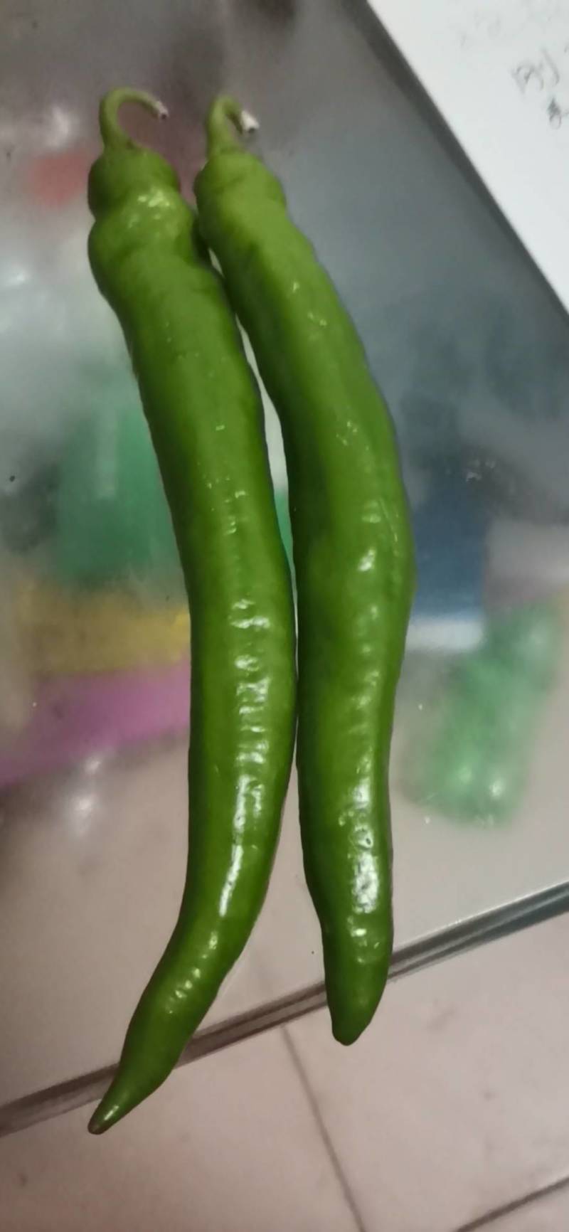 羊角椒大量上市