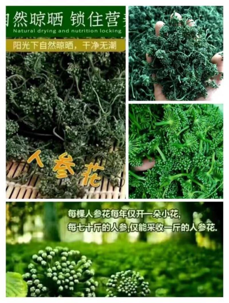 长白山六年人参花西洋参花新鲜采摘自然晾晒产地包邮