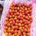 新疆伊犁吊干杏六月产地新鲜上市，色泽美颜，口感爆汁纯甜！
