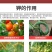 奥丰膨果上色钾奥果美钾1000克着色增甜膨大果实氮磷钾