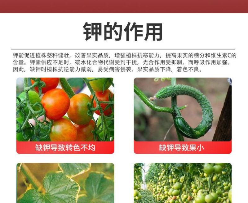 奥丰膨果上色钾奥果美钾1000克着色增甜膨大果实氮磷钾