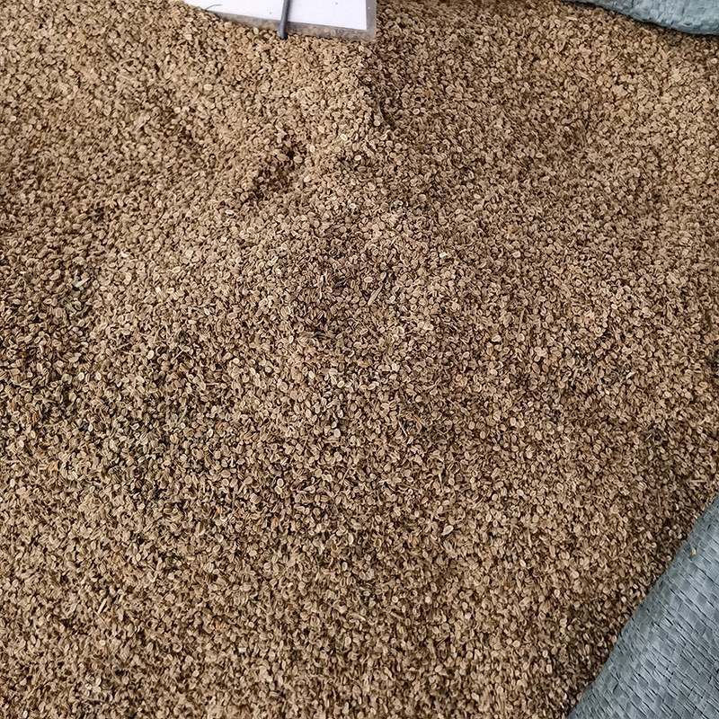 药材蛇床子货品质量保证批发各种中药材