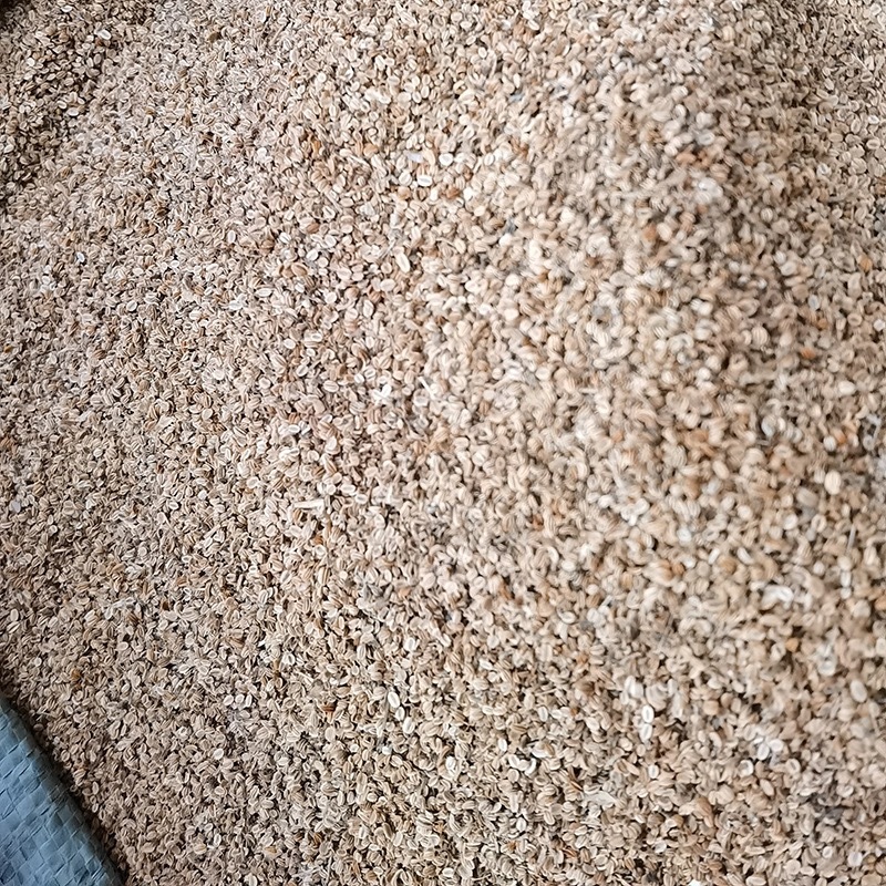 药材蛇床子货品质量保证批发各种中药材