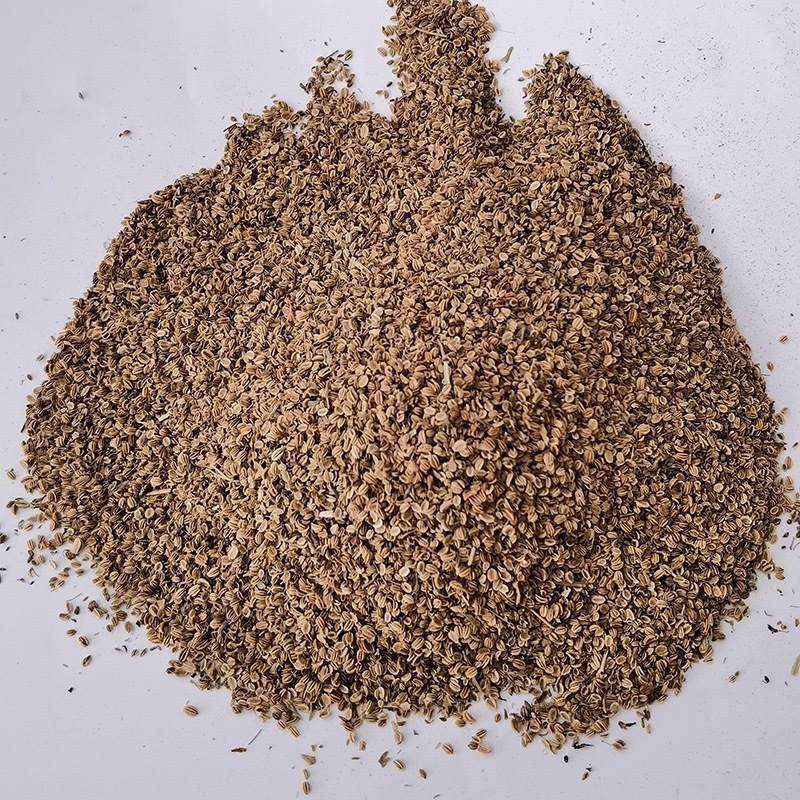 药材蛇床子货品质量保证批发各种中药材