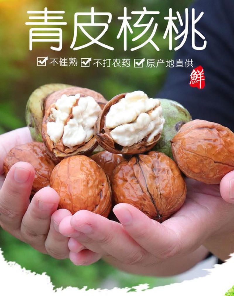大凉山原生态鲜核桃，一手货源物美价廉，支持批发零欢迎咨询
