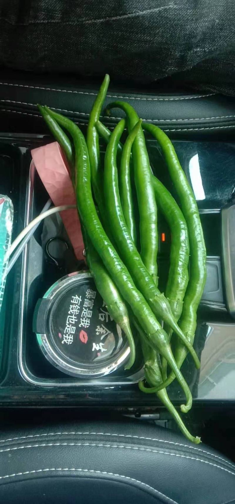 河南精品鲜辣椒，线椒，一手货源，产地直发，可视频看货