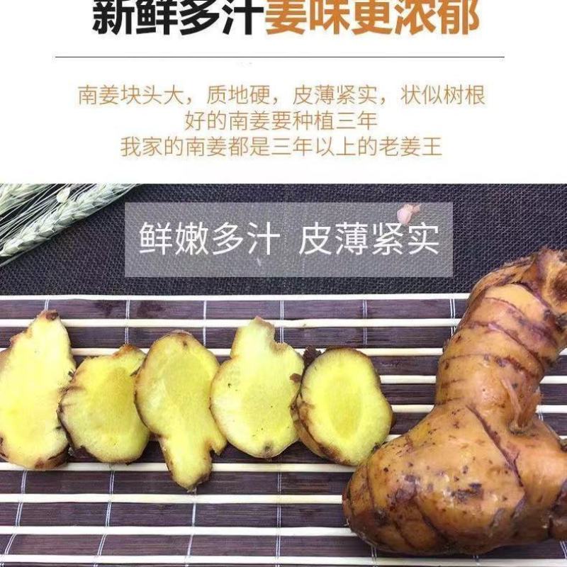 现货新鲜南姜高良姜野生山姜潮汕牛肉火锅卤味冬阴功汤料底料