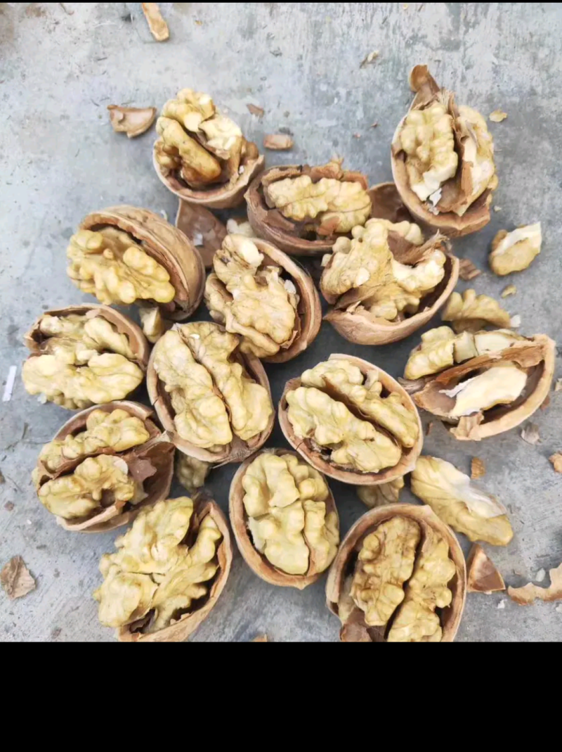 薄皮纸皮干核桃产地大量供应，大量批发，大量现货
