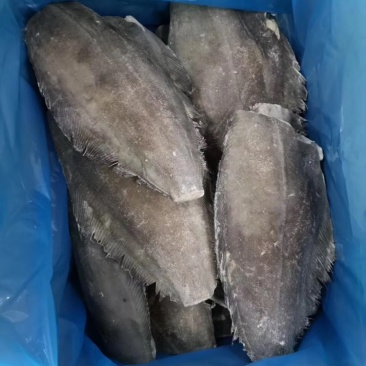 比目鱼、料理，自助，西餐都可用、1件15kg，全国可发货