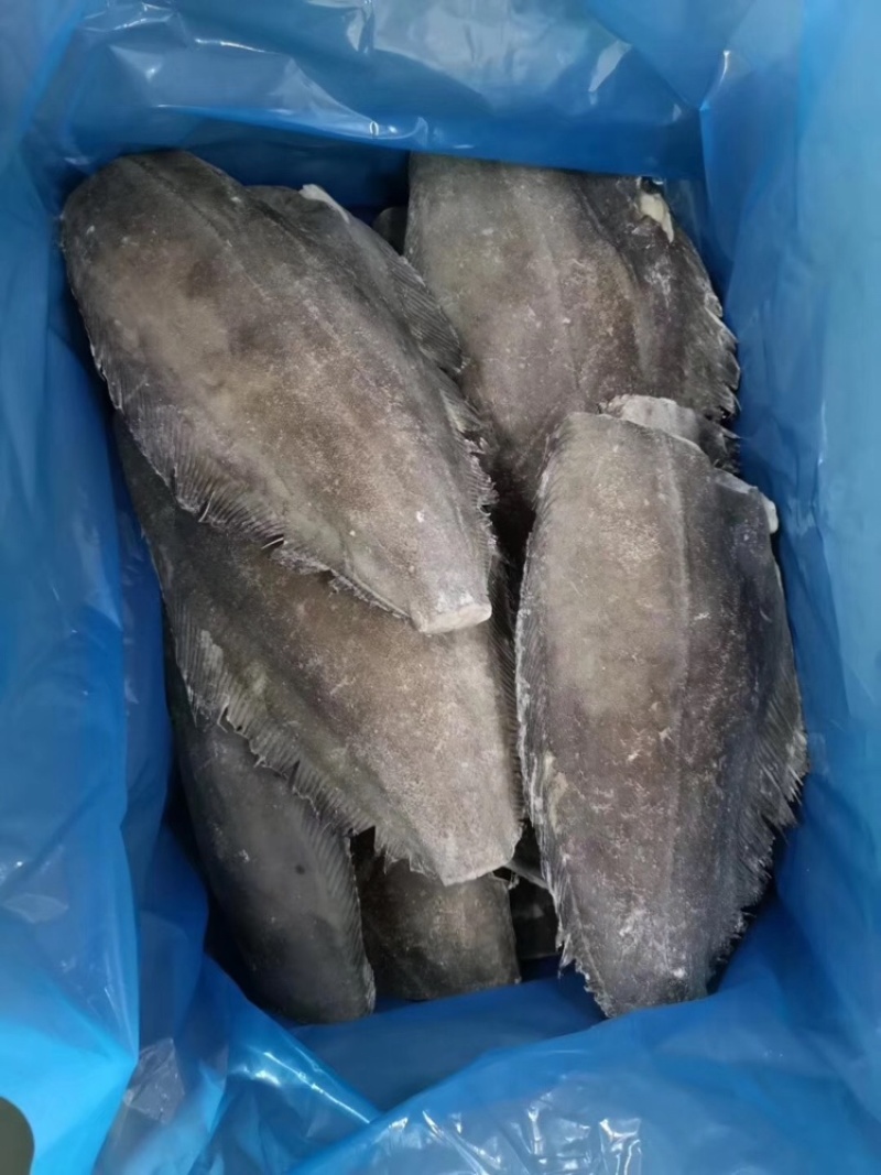 比目鱼、料理，自助，西餐都可用、1件15kg，全国可发货