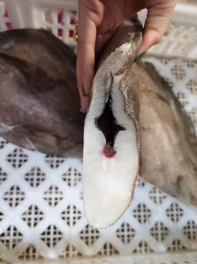 比目鱼、料理，自助，西餐都可用、1件15kg，全国可发货