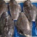 比目鱼、料理，自助，西餐都可用、1件15kg，全国可发货