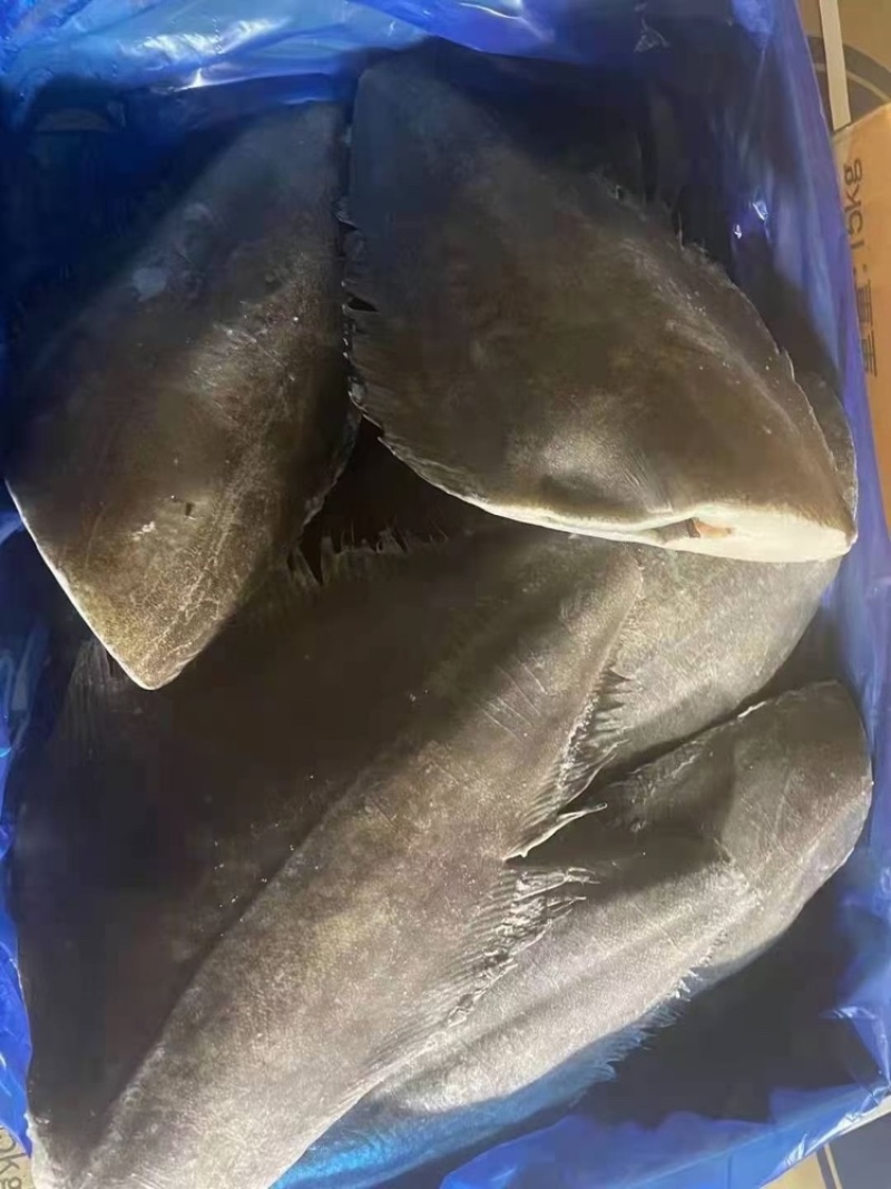 比目鱼、料理，自助，西餐都可用、1件15kg，全国可发货