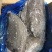 比目鱼、料理，自助，西餐都可用、1件15kg，全国可发货