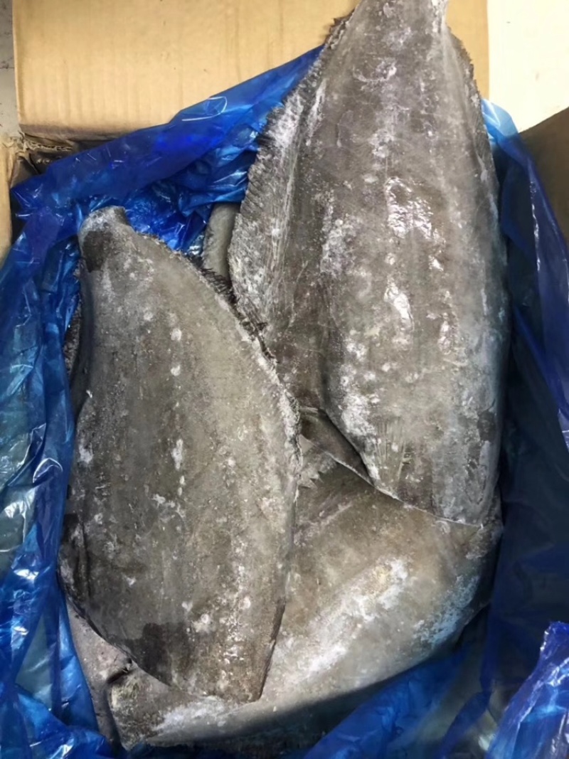 比目鱼、料理，自助，西餐都可用、1件15kg，全国可发货