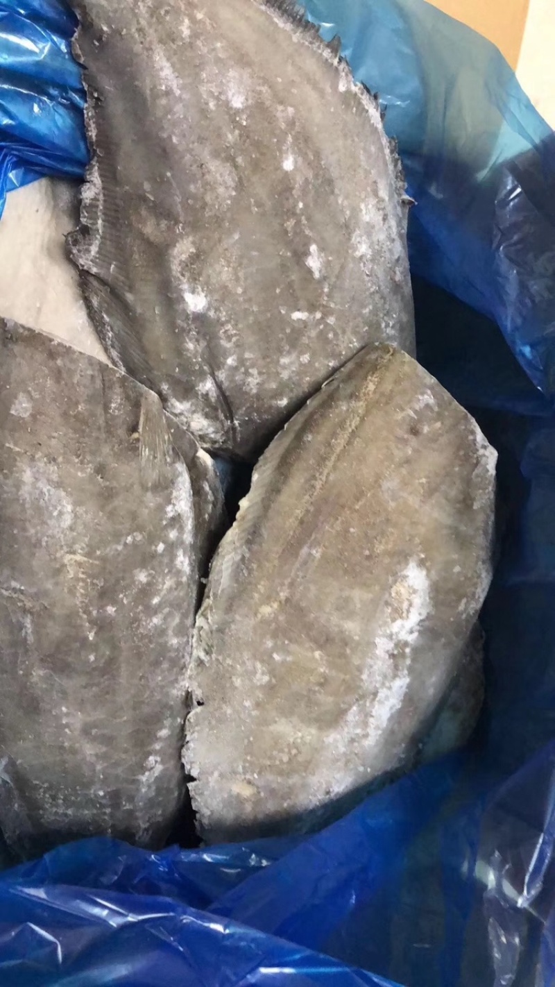 比目鱼、料理，自助，西餐都可用、1件15kg，全国可发货