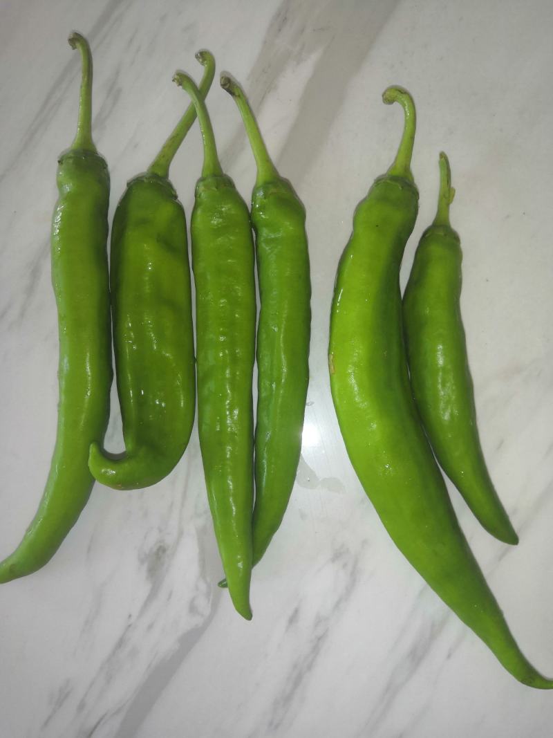 3号椒，基地直接发货，产品质量好。当天采摘，当天发货