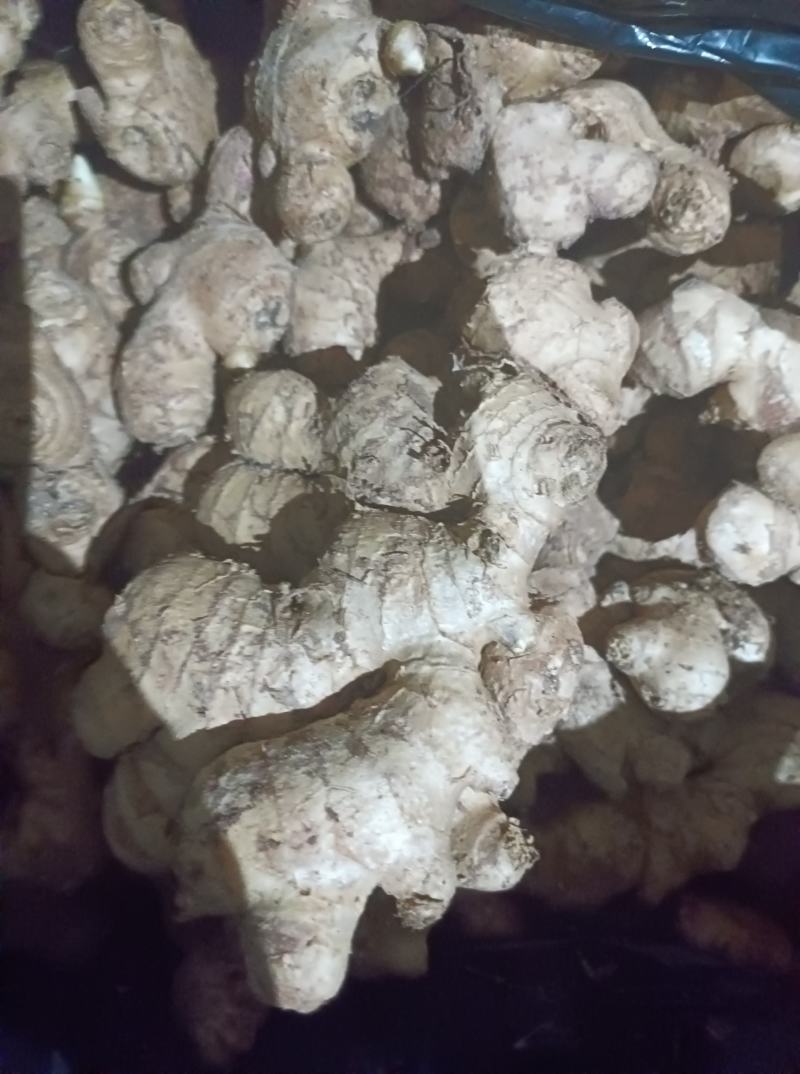 生姜