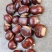优质带壳油栗板栗大量现货产家直销大量批发规格品种齐全