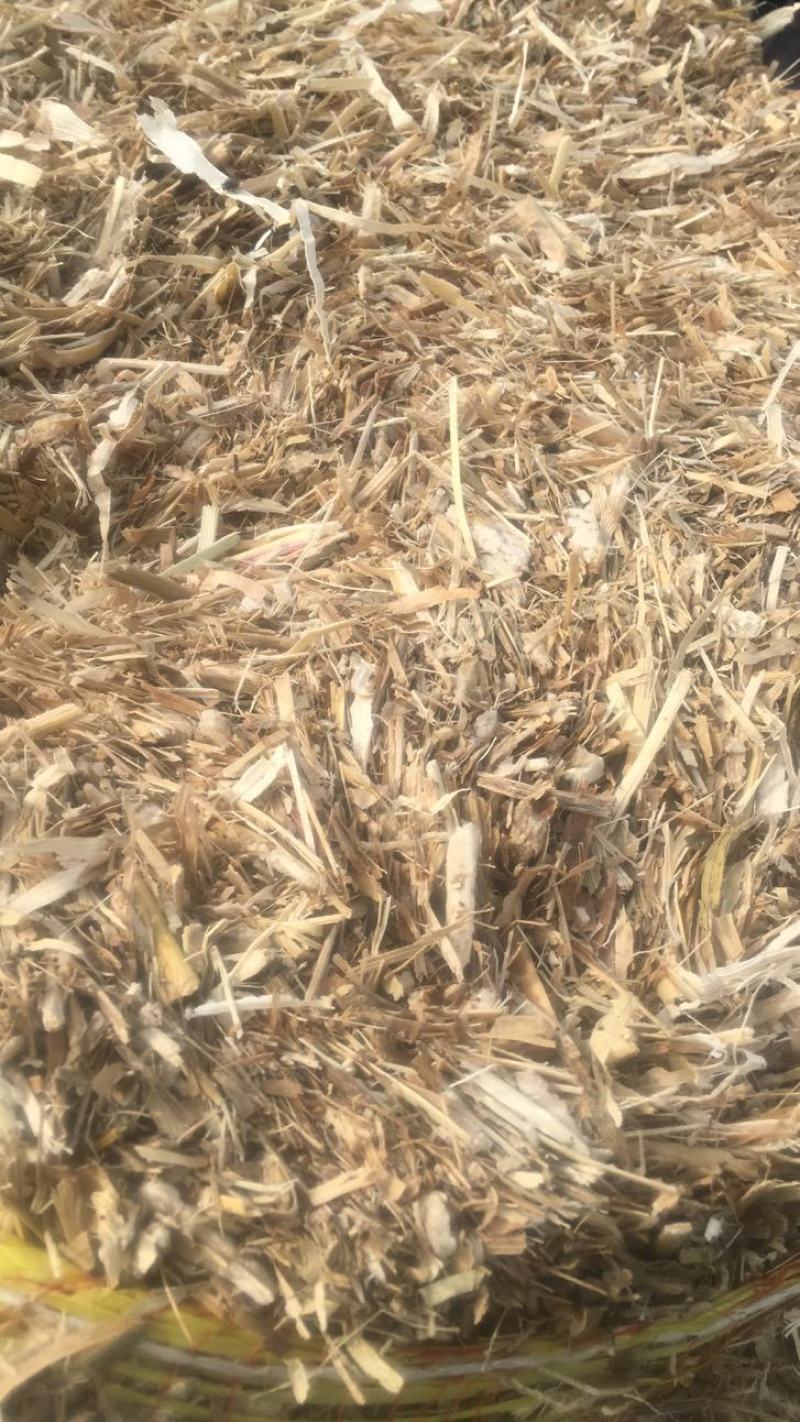过夏玉米秸秆草包，无土无尘，质量很好，500吨