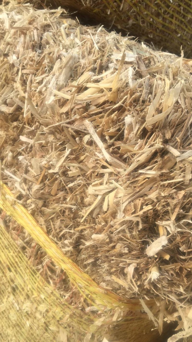 过夏玉米秸秆草包，无土无尘，质量很好，500吨