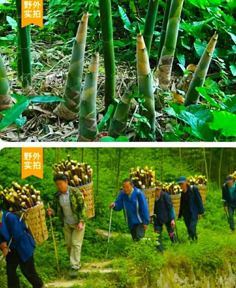 天目山竹笋干农家鲜嫩笋干炖肉红烧煲汤脆嫩美味爽口