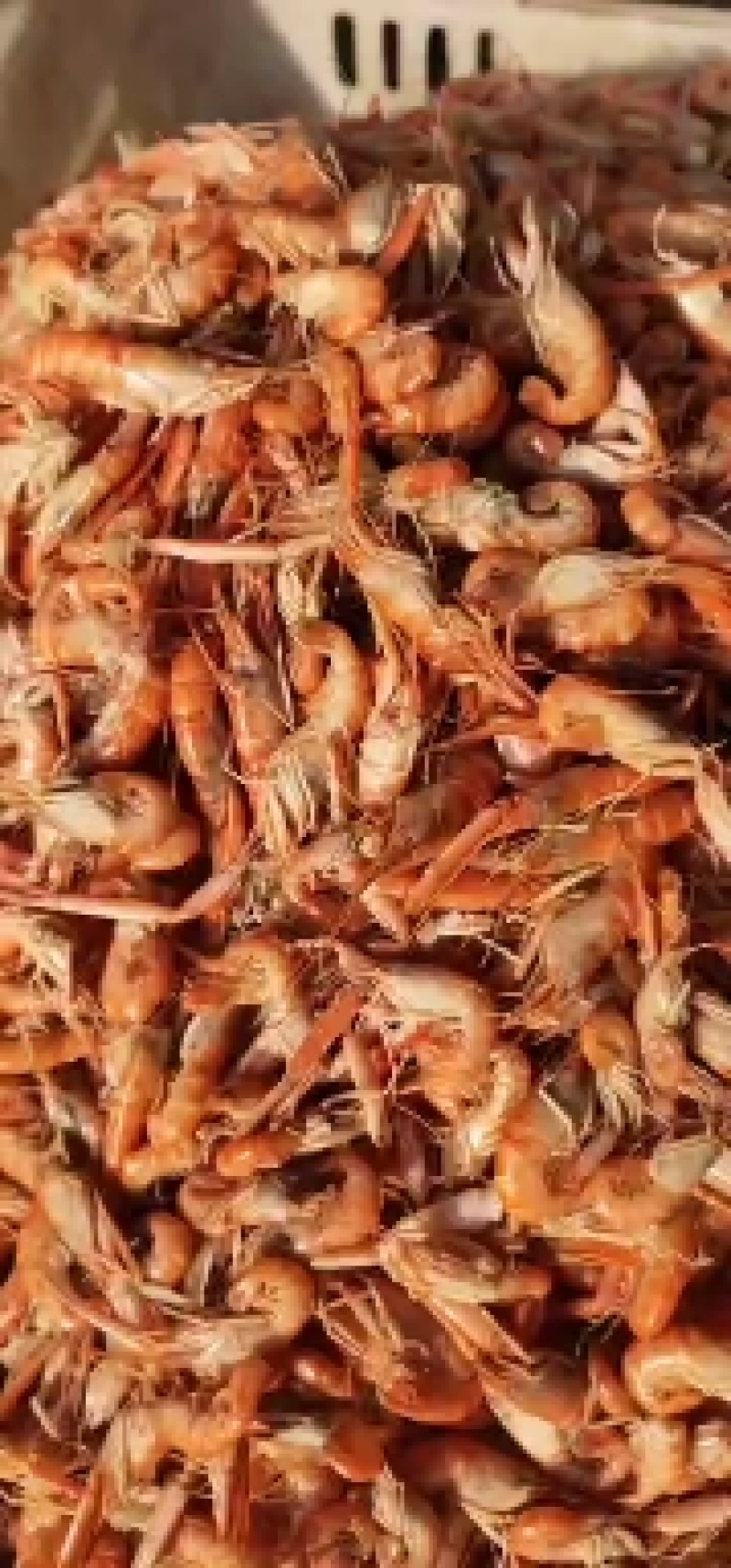爪虾勾虾立虾新鲜美味可即食烹饪麻辣油炸促销价