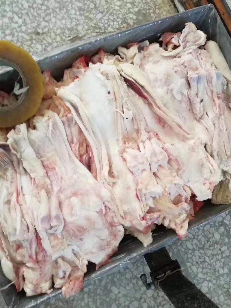（全去骨牛蹄）半去骨牛蹄不去骨牛蹄常年加