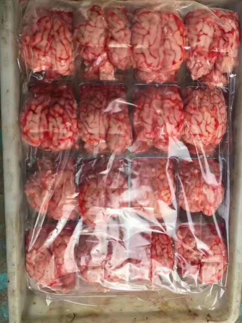 羊脑花现货鲜冻羊脑花鲜冻羊红脑白脑一件五十斤左右