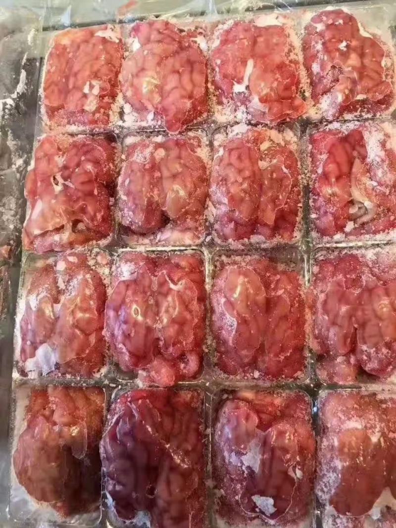 羊脑花现货鲜冻羊脑花鲜冻羊红脑白脑一件五十斤左右