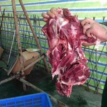 纯干去皮羊后腿肉(精修无油)无碎肉