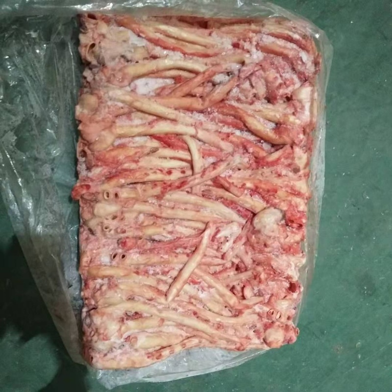 猪心管
