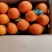 【精品】奉节脐橙长纽荷尔，产地直发，全国发货