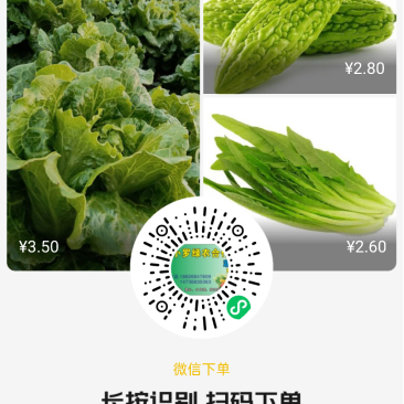 每日鲜人人有