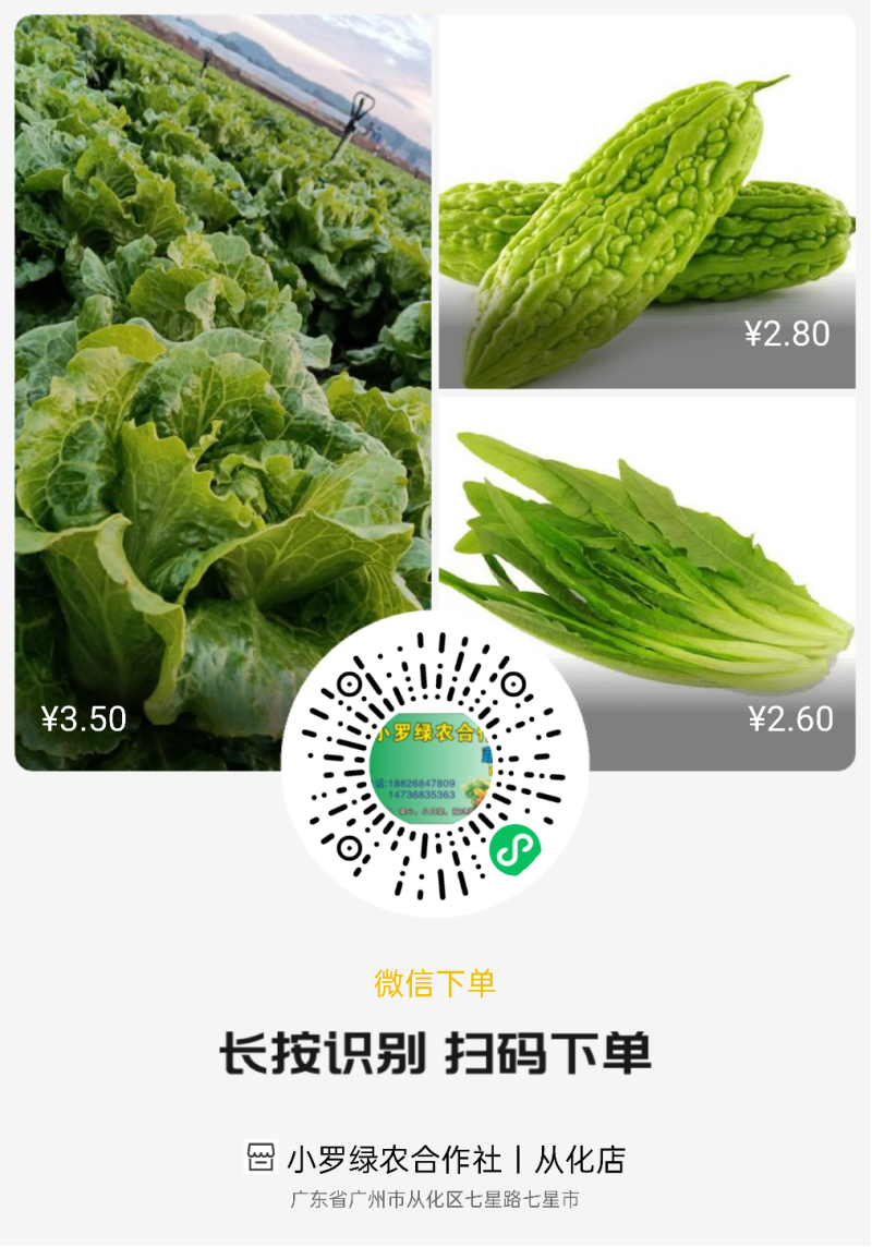 每日鲜人人有