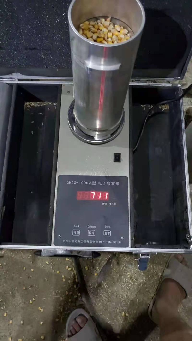 玉米