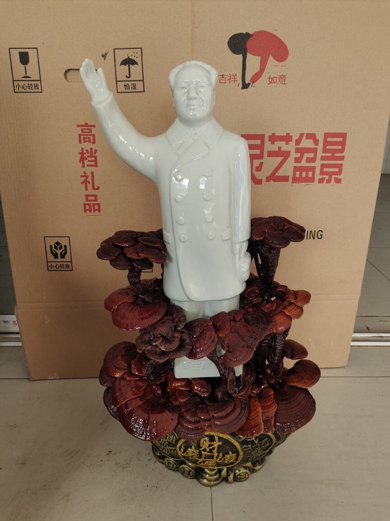 基地直供灵芝盆景，吉祥如意，一手货源，一次合作，终身朋友