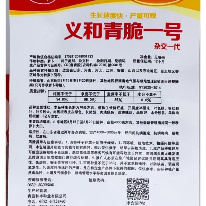 天津沙窝萝卜种子里外青水果萝卜脆甜青皮青肉水果萝卜种子