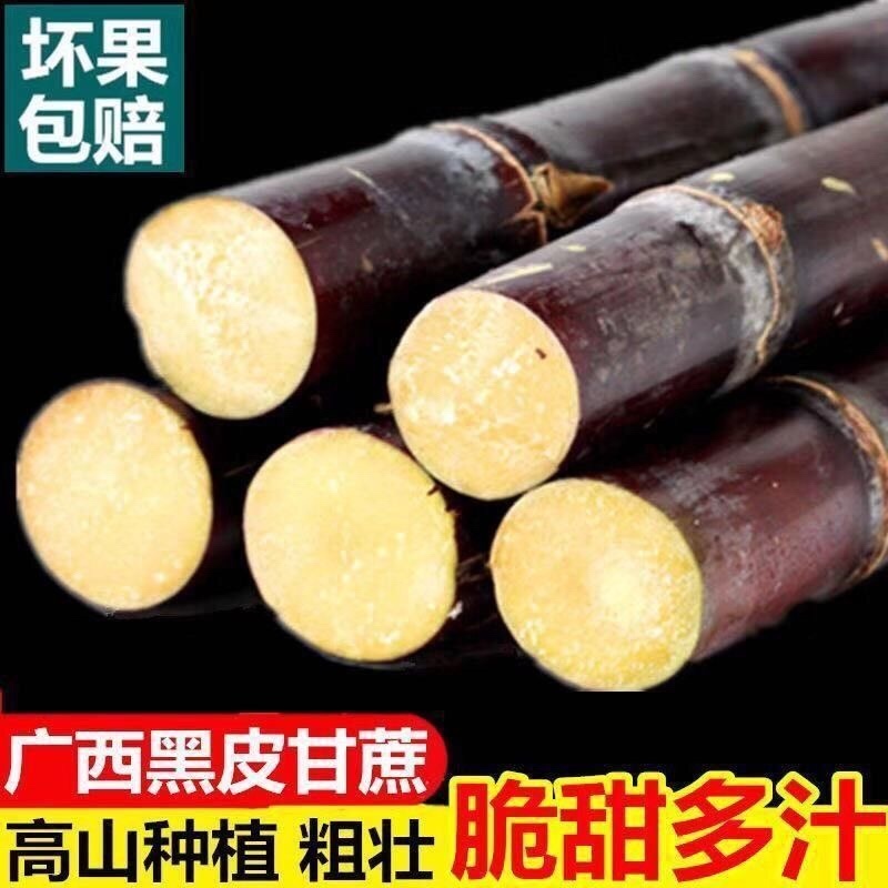 现砍广西黑皮甘蔗产地直销一手货源批发提供回头车信誉至上