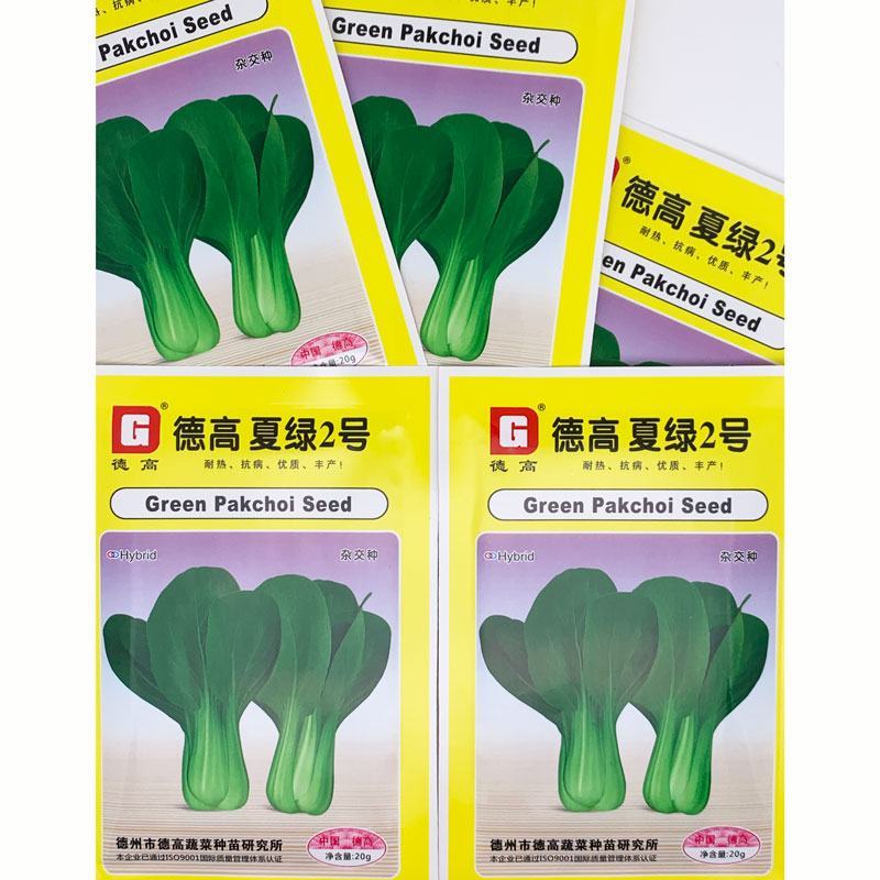 珍品绿立夏绿青梗菜种子耐热耐湿不拔节上海青种子100克