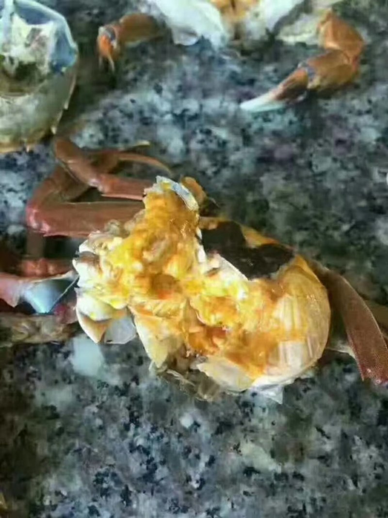 六月黄，本地一手货源，保质保量，各种归格都有，