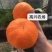 明日见柑橘象山明日见橘子象山高糖度品种