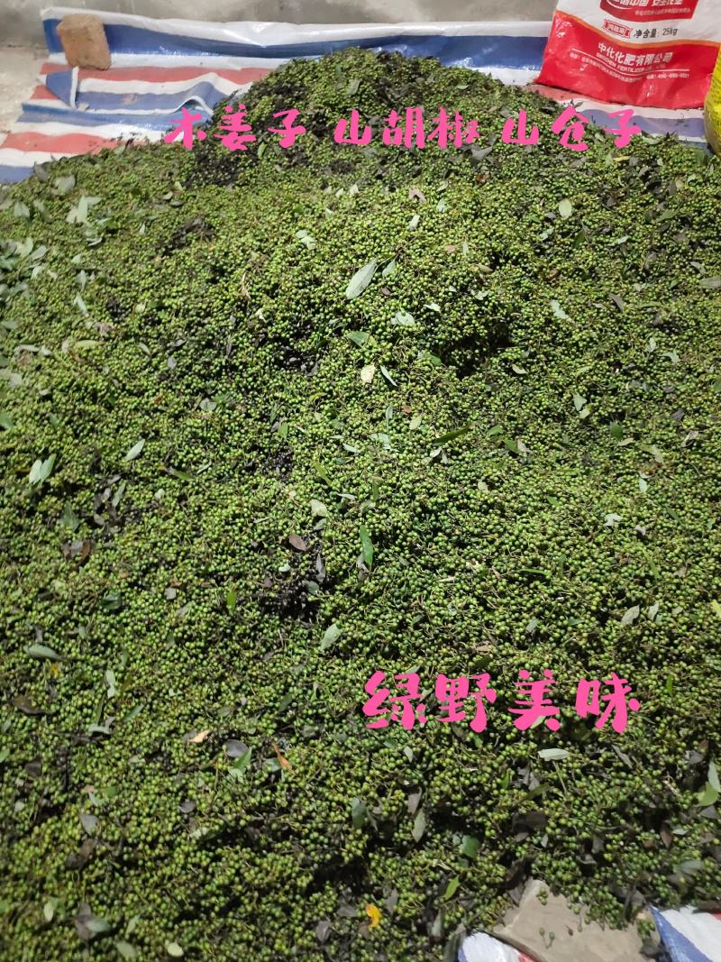 山胡椒新鲜木姜子山仓子现摘现发大量供应量大价优