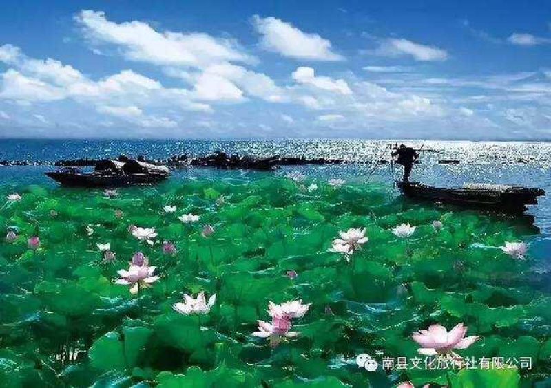 【有好货】菱角米洪湖野生菱角米莲蓬藕带等洪湖特产
