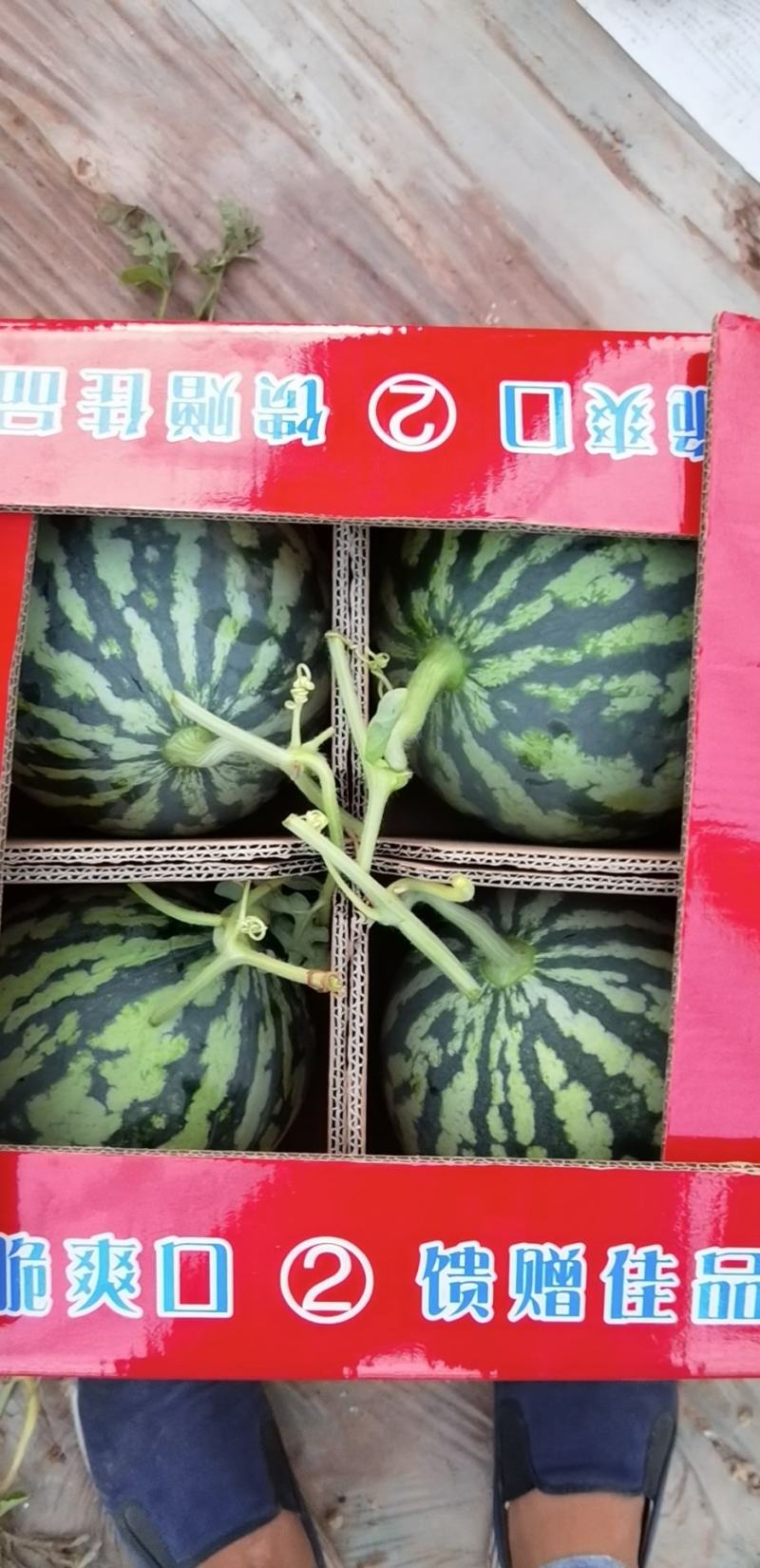 无籽美都，量大从优，基地直接供货，口感，甜度到位
