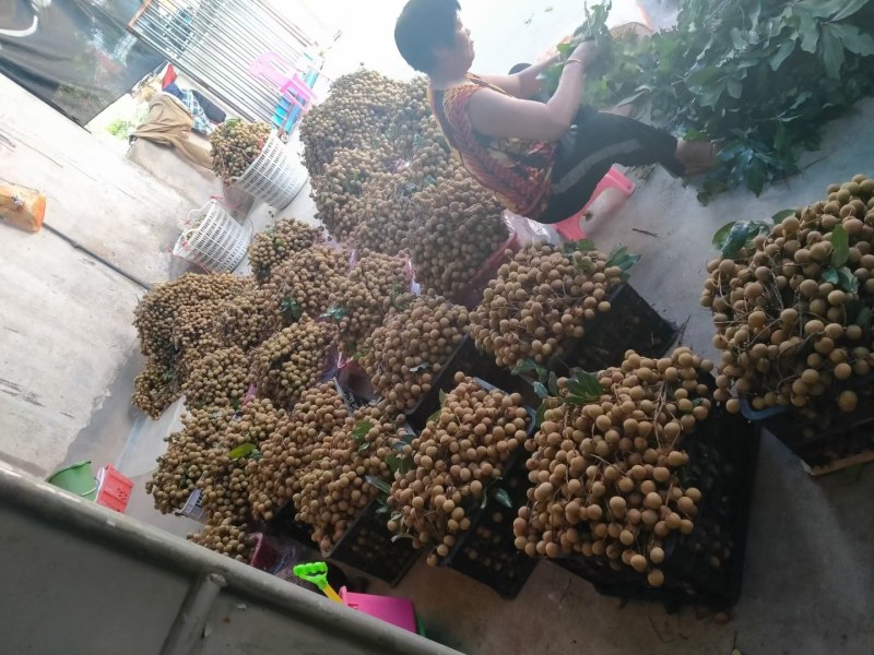 刚刚出来的