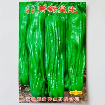 萧新星光薄皮椒种子大果杂交一代口感辣味适中高产品种种子